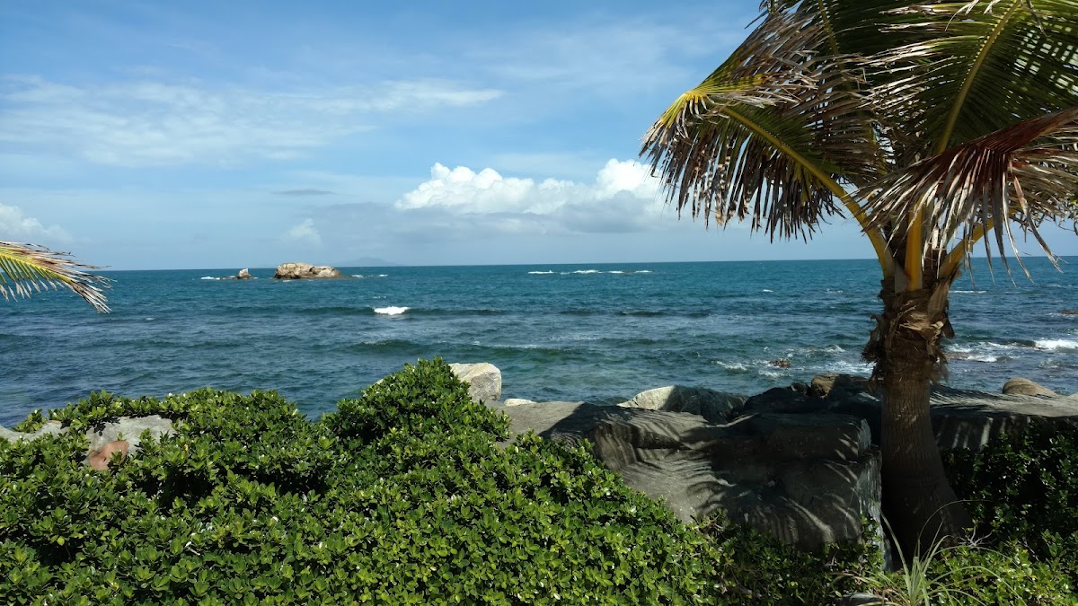 Palmas del Mar Marina