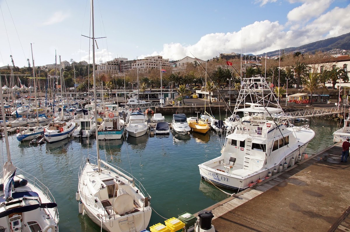 Marina do Funchal