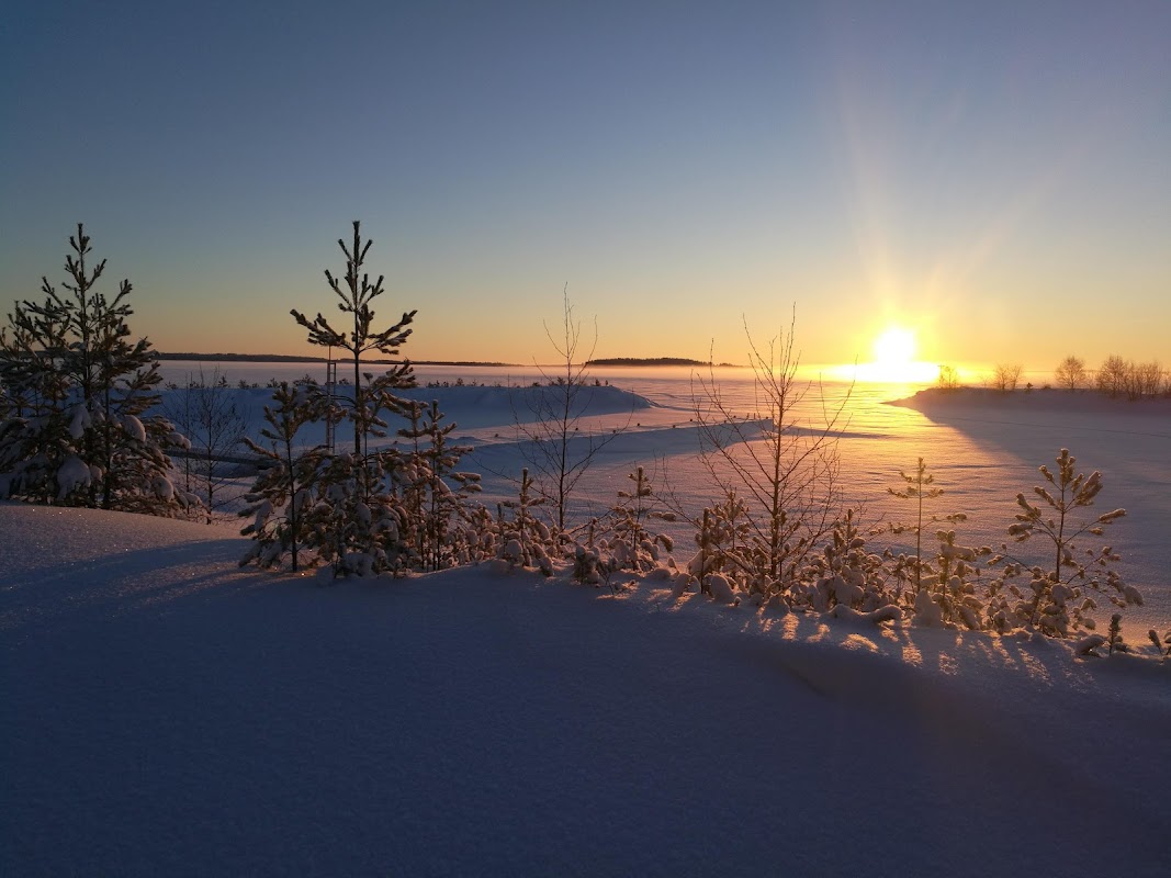 Kesälahden kalasatama