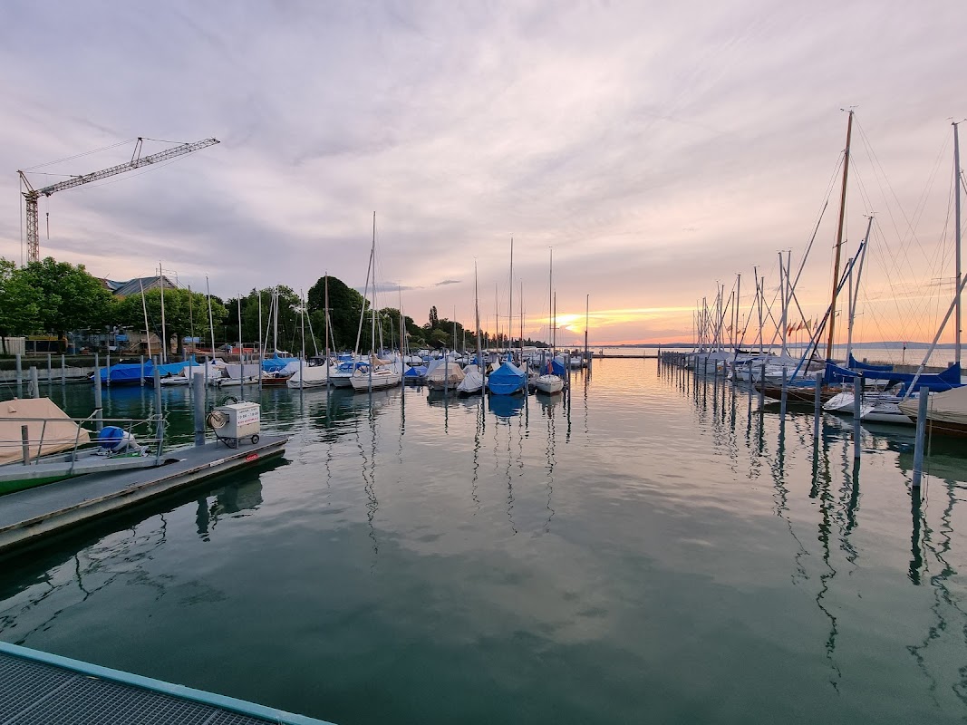 Hafen Ruderbaum (Altnau)