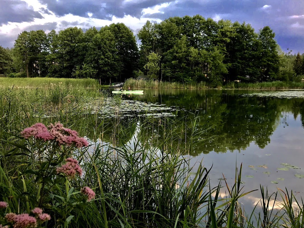 Studzieniczna