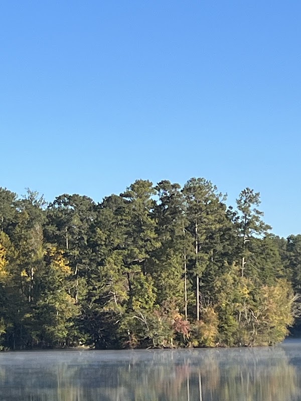 Reasor's Landing