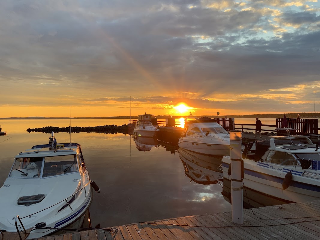 Svinöra