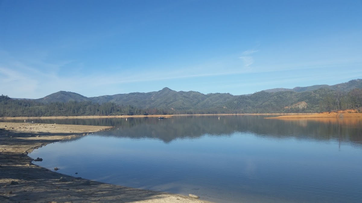Brandy Creek Marina