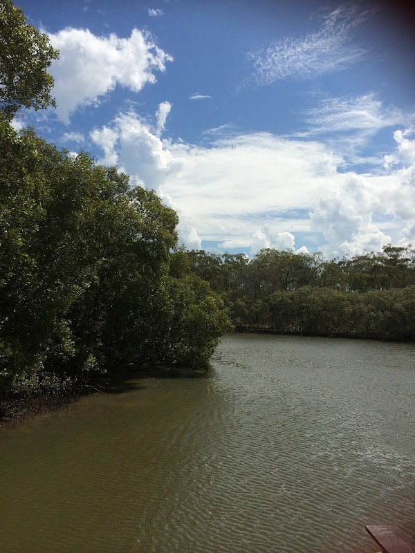 Cabbage Tree Creek Marina