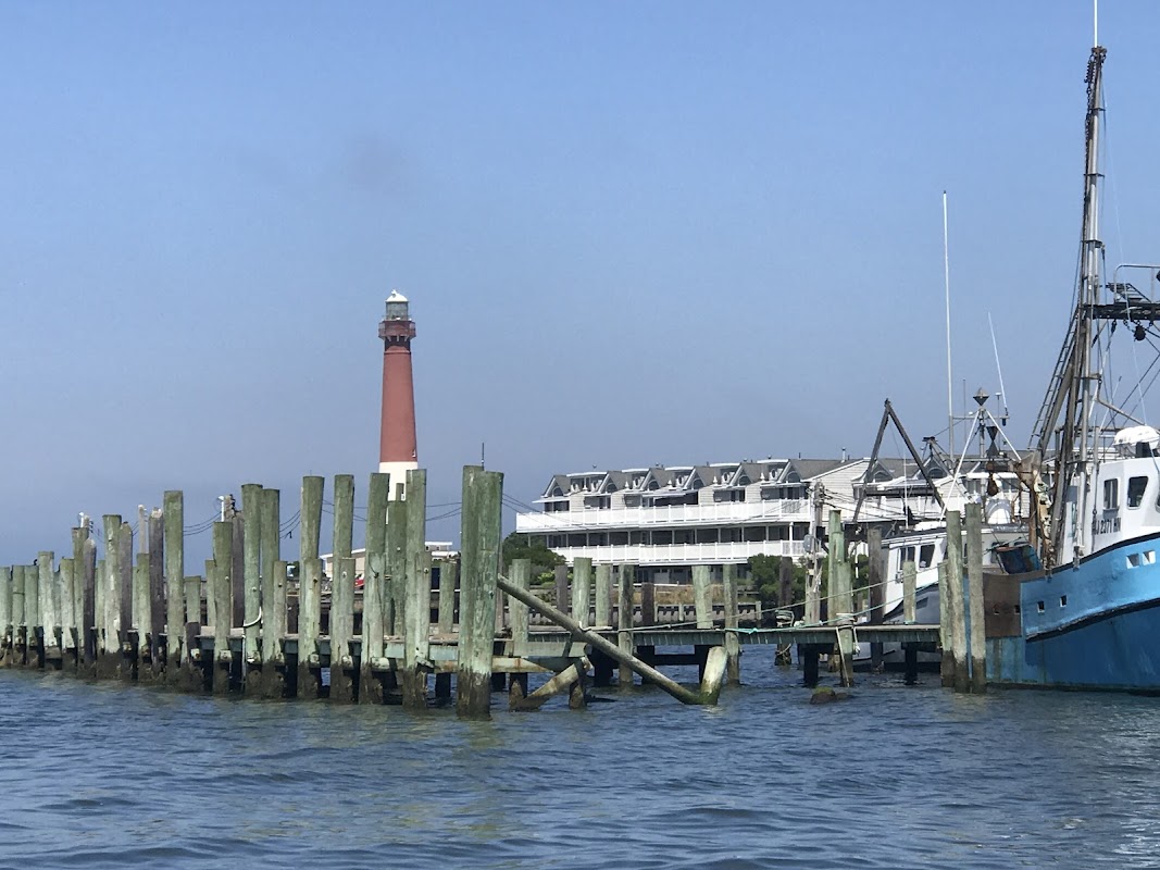 Barnegat Light Marina NJ