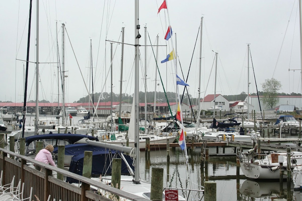 Deltaville Boatyard Marina