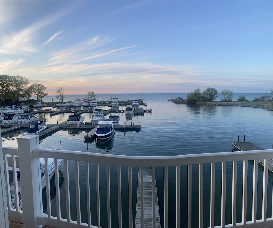 Bald Eagle Marina