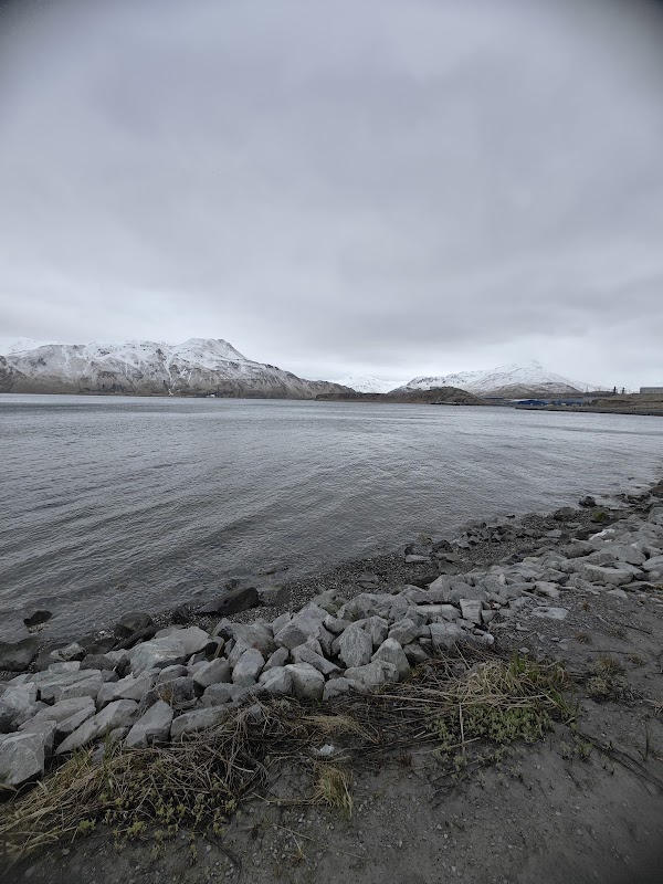 Dutch Harbor Marina Unalaska
