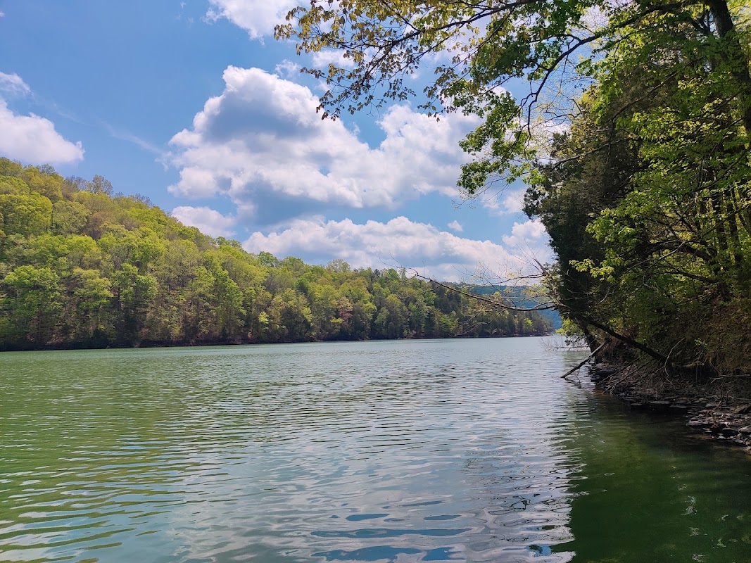 Dale Hollow Lake Marina