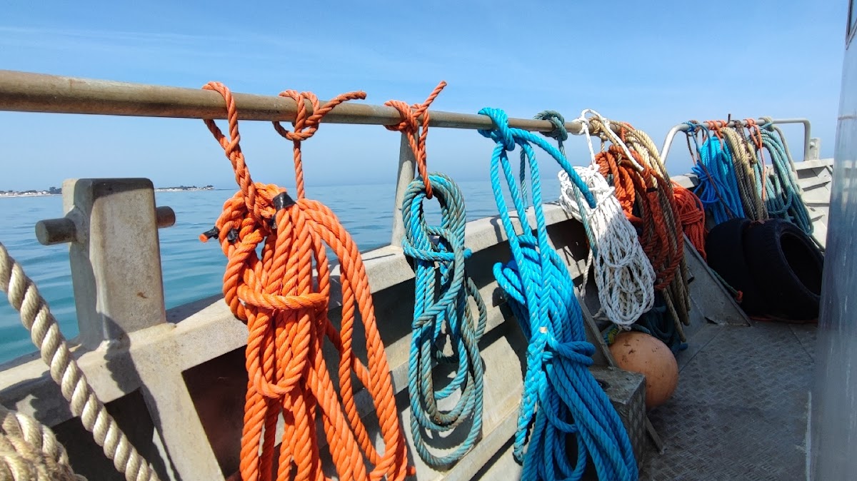 Port de Noirmoutier