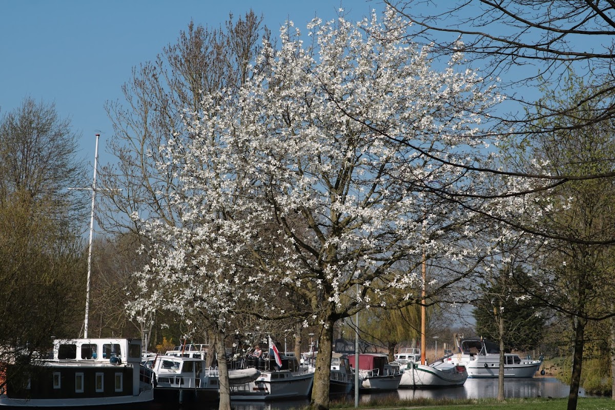 Jachthaven Wassenaar