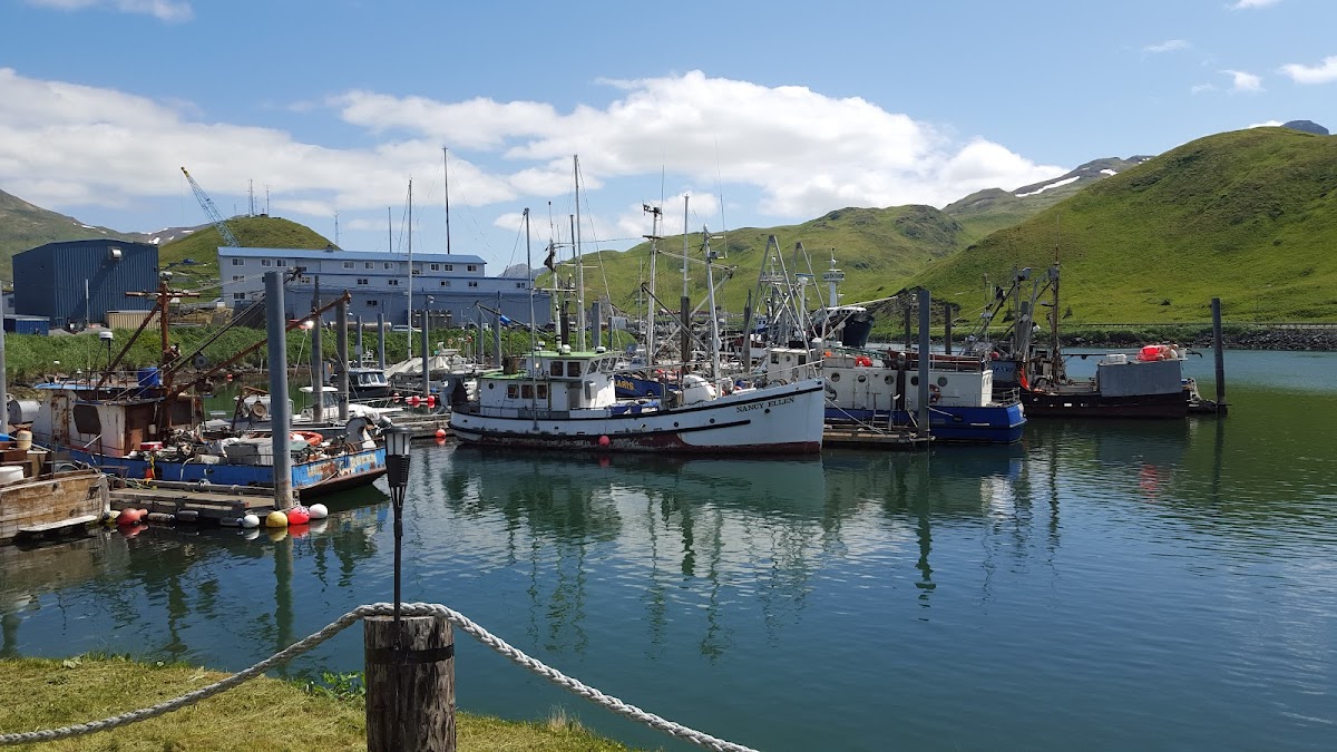 Robert Storrs Small Boat Harbor