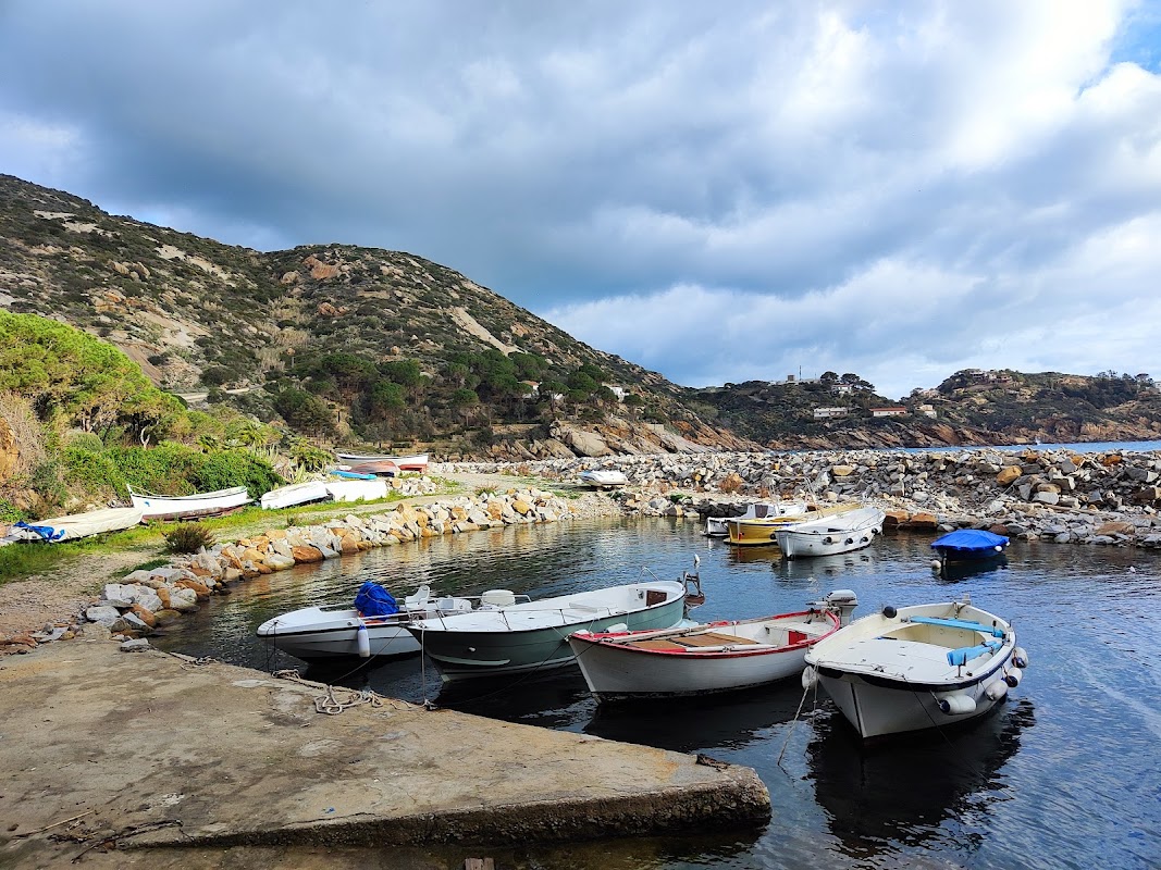 Giglio Harbour