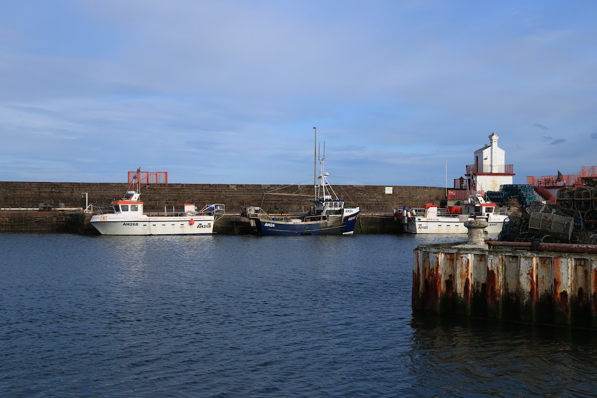 Arbroath Harbour